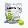 HEAD Tip Green 72 vaikiški teniso kamuoliukai žali 578280