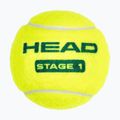 Vaikiški teniso kamuoliukai HEAD Stage 1 3 vnt. green 3