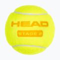 Vaikiški teniso kamuoliukai HEAD Stage 2 3 vnt. orange 3