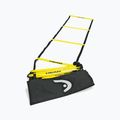 HEAD Agility kopėčios geltonos spalvos 287501