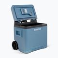 Termoelektrinis turistinis šaldytuvas Igloo IE42 ACDC 42 l ice blue 9