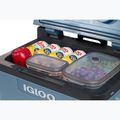 Termoelektrinis turistinis šaldytuvas Igloo IE42 ACDC 42 l ice blue 12