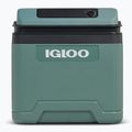 Šaldytuvas Igloo IE24 ACDC 24 and spruce