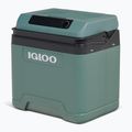 Šaldytuvas Igloo IE24 ACDC 24 and spruce 2