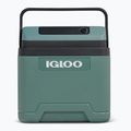 Šaldytuvas Igloo IE24 ACDC 24 and spruce 3