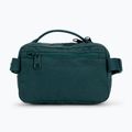 Rankinė ant juosmens Fjällräven Kanken 2 l arctic green 6