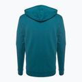 Vyriškas džemperis Fjällräven Logo Hoodie deep sea 2