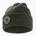 Žieminė kepurė Fjällräven Bergtagen Forever Wool deep forest