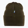 Žieminė kepurė Fjällräven Vardag Beanie deep forest 3