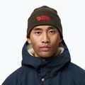 Žieminė kepurė Fjällräven Vardag Beanie deep forest 4