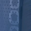 POC Spine VPD oro liemenė cubane blue 5
