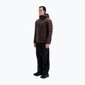 Vyriška pašiltinta striukė POC Coalesce Jacket bronzite brown 2
