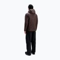 Vyriška pašiltinta striukė POC Coalesce Jacket bronzite brown 3