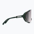 Akiniai nuo saulės POC Devour pargasite green/clarity road/sunny silver 4