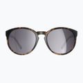 Akiniai nuo saulės POC Know tortoise brown/clarity road/sunny silver 2