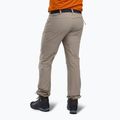 Vyriškos "Pinewood Finnveden Sports Light moth brown" trekingo kelnės 2
