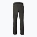 Vyriškos "Pinewood Finnveden Sports Light ash grey" trekingo kelnės 7
