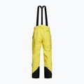 Vyriškos slidinėjimo kelnės Peak Performance Vertixs 2L yellow G76651010 2