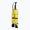 Vyriškos slidinėjimo kelnės Peak Performance Vertixs 2L yellow G76651010 3