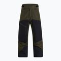 Vyriškos slidinėjimo kelnės Peak Performance Gravity 2L GoreTex, žalios G78253030