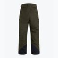 Vyriškos slidinėjimo kelnės Peak Performance Gravity 2L GoreTex, žalios G78253030 2