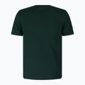 Vyriški trekingo marškinėliai Peak Performance Original Tee green G77692260 2