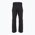 Vyriškos slidinėjimo kelnės Peak Performance M Maroon black 5