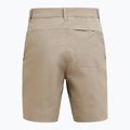 Vyriški žygio šortai Peak Performance Iconiq avid/beige 2