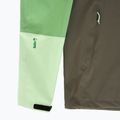 Vyriška striukė nuo lietaus Peak Performance Trail Hipe Shell Jacket peppermint/pine needle/green 3