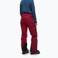 Moteriškos slidinėjimo kelnės Peak Performance Vislight GTX C-Knit 3L vertical zenith/tech burgundy 3