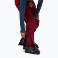 Moteriškos slidinėjimo kelnės Peak Performance Vislight GTX C-Knit 3L vertical zenith/tech burgundy 5