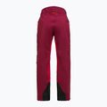 Moteriškos slidinėjimo kelnės Peak Performance Vislight GTX C-Knit 3L vertical zenith/tech burgundy 7
