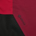 Moteriškos slidinėjimo kelnės Peak Performance Vislight GTX C-Knit 3L vertical zenith/tech burgundy 9