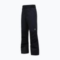 Vyriškos slidinėjimo kelnės Peak Performance Shred Insulated Pants black 3