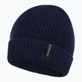 Vaikiška žieminė kepurė Didriksons Buz Beanie navy