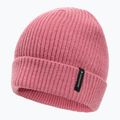 Vaikiška žieminė kepurė Didriksons Buz Beanie heather pink