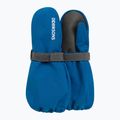 Vaikiškos slidinėjimo pirštinės Didriksons Biggles Mitten 8 ultramarine