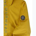 Vyriška snieglenčių striukė Colourwear Signature Anorak yellow 3
