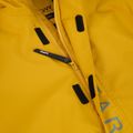 Vyriška snieglenčių striukė Colourwear Signature Anorak yellow 4