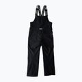 Vyriškos snieglenčių kelnės Colourwear Slash Bib black 11