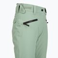Moteriškos snieglenčių kelnės Colourwear Cork lt sage 4