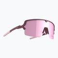 Akiniai nuo saulės Tripoint 008 Lake Prespa matt burgundy/brown/pink multi