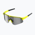 Akiniai nuo saulės Tripoint 005 Lake Victoria transparent neon yellow/smoke 3