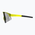 Akiniai nuo saulės Tripoint 005 Lake Victoria transparent neon yellow/smoke 5