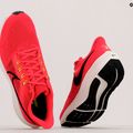 Nike Air Zoom Pegasus vyriški bėgimo bateliai 39 red DH4071-600 11