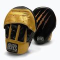 Trenerio treniruočių letenos Cleto Reyes High Performance gold/black