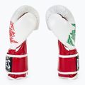 Bokso pirštinės Cleto Reyes Velcro Sparring red/white green red 4