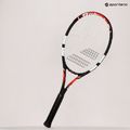 Babolat Falcon teniso raketė tamsiai mėlyna 194020 8