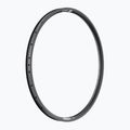 Dviračio ratlankis DT Swiss U 663 29 30 MM DB VI 36 black