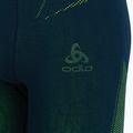 Vyriški terminiai apatiniai drabužiai ODLO Fundamentals Performance Warm Long green/green 196082/21022 7